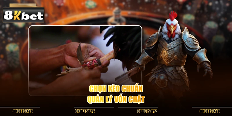 Chọn kèo chuẩn, quản lý vốn chặt